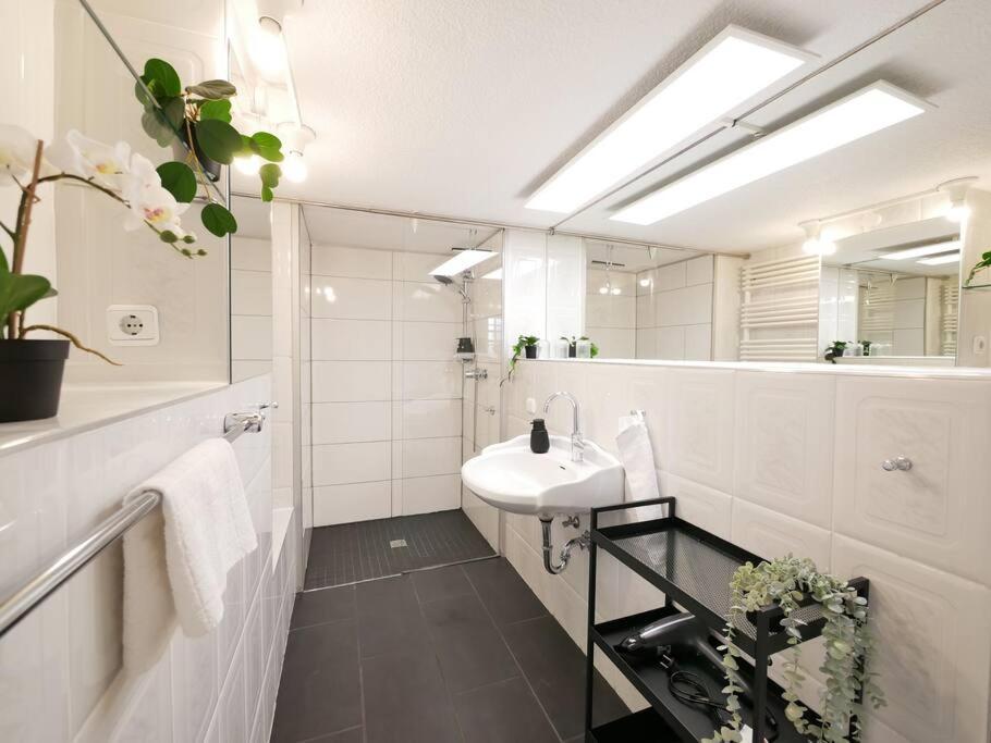 Апартаменти 110 M2, Dachterrasse, Kueche, Zentral, Ruhige Lage Падерборн Екстер'єр фото